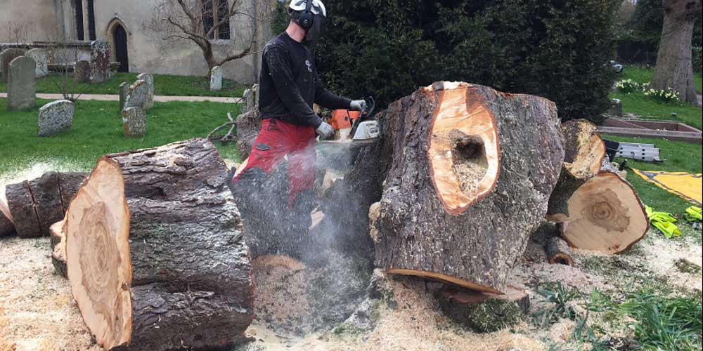 Stump Removal