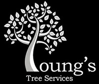 Youngs Tree Services Oxfordshire